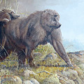 Olive Baboons